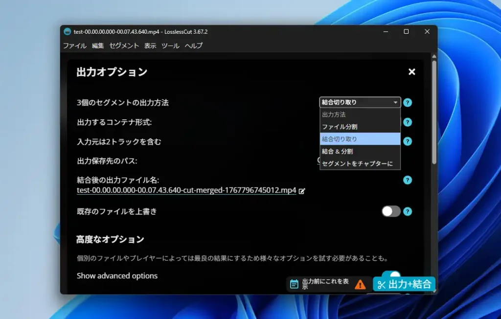 出力オプション画面