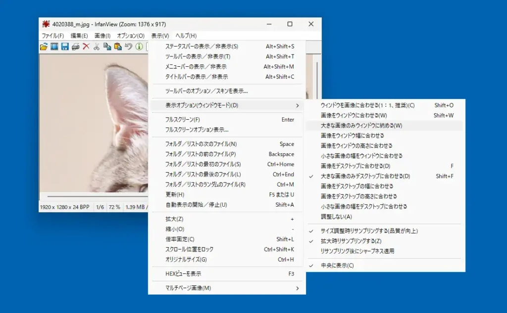 IrfanView 表示オプションの変更