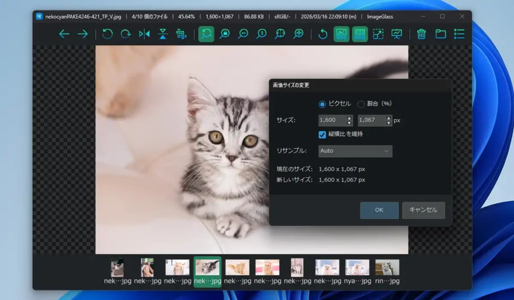 ImageGlass 拡大縮小機能